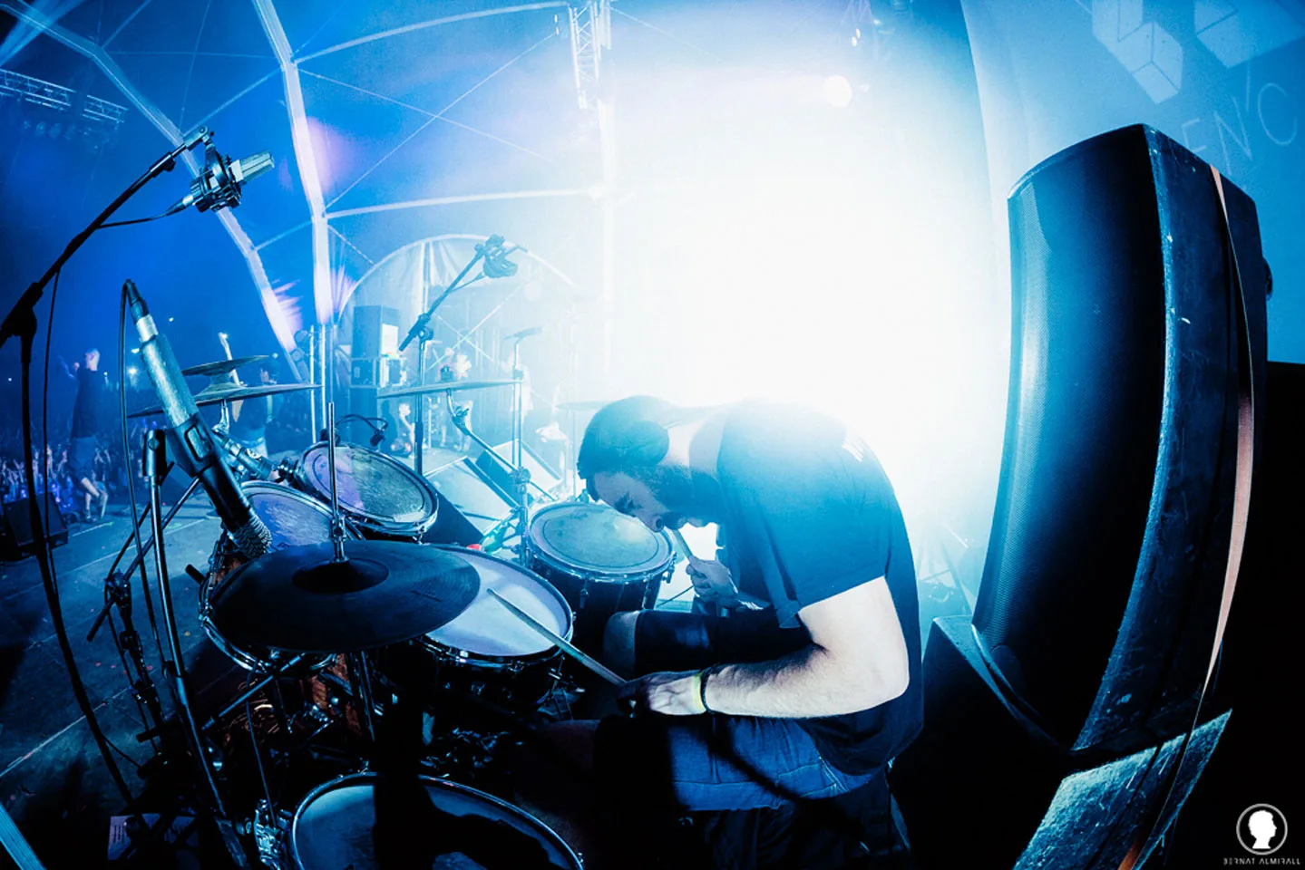Aspencat al Viñarock 2015